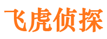 江海市私家侦探